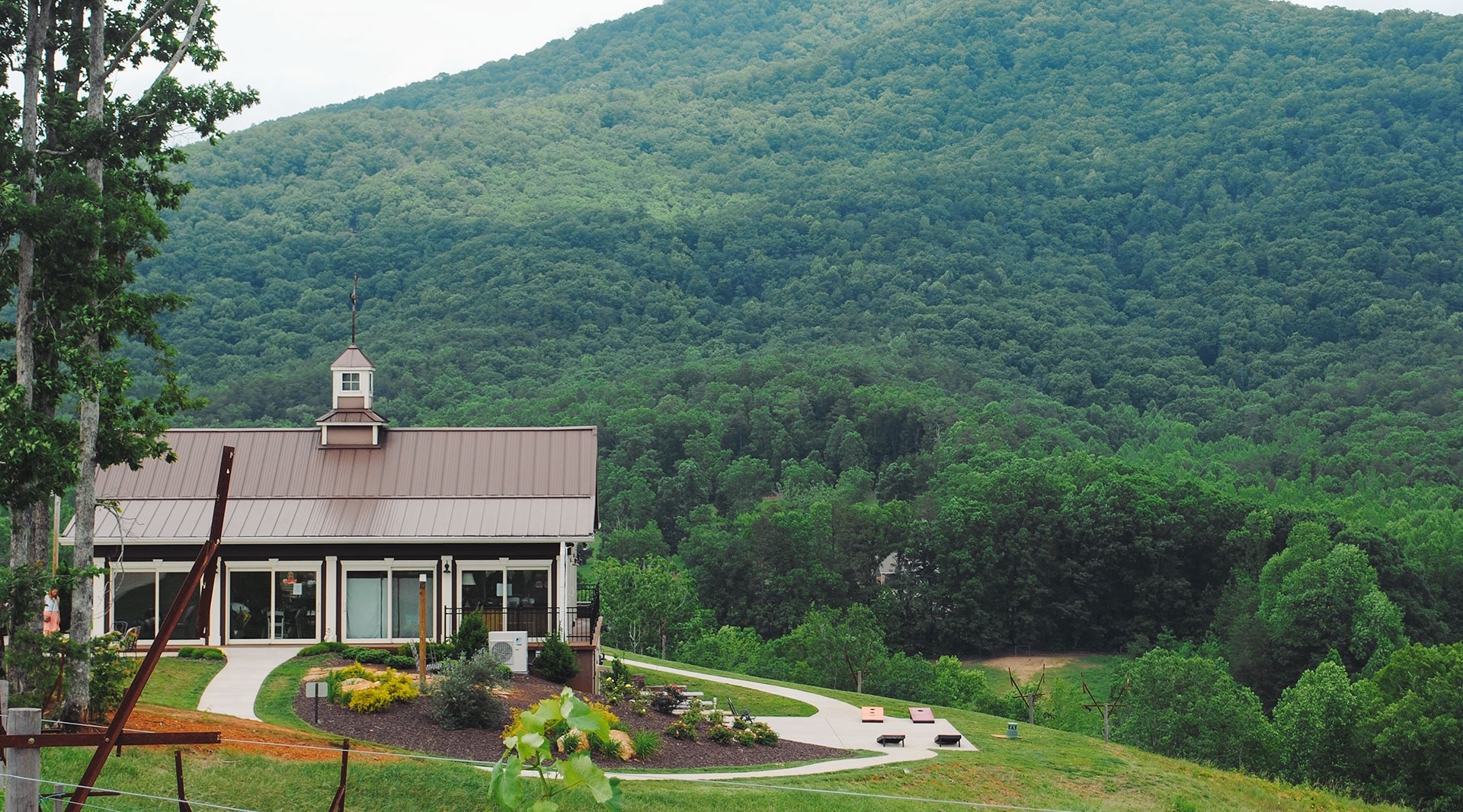 North Wine Country Tour From Atlanta Book Tours & Activities