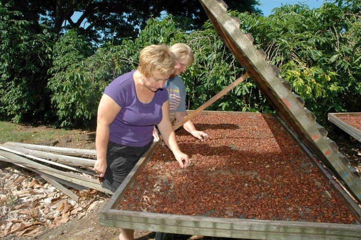 Chocolate Factory Farm Tour photo 5