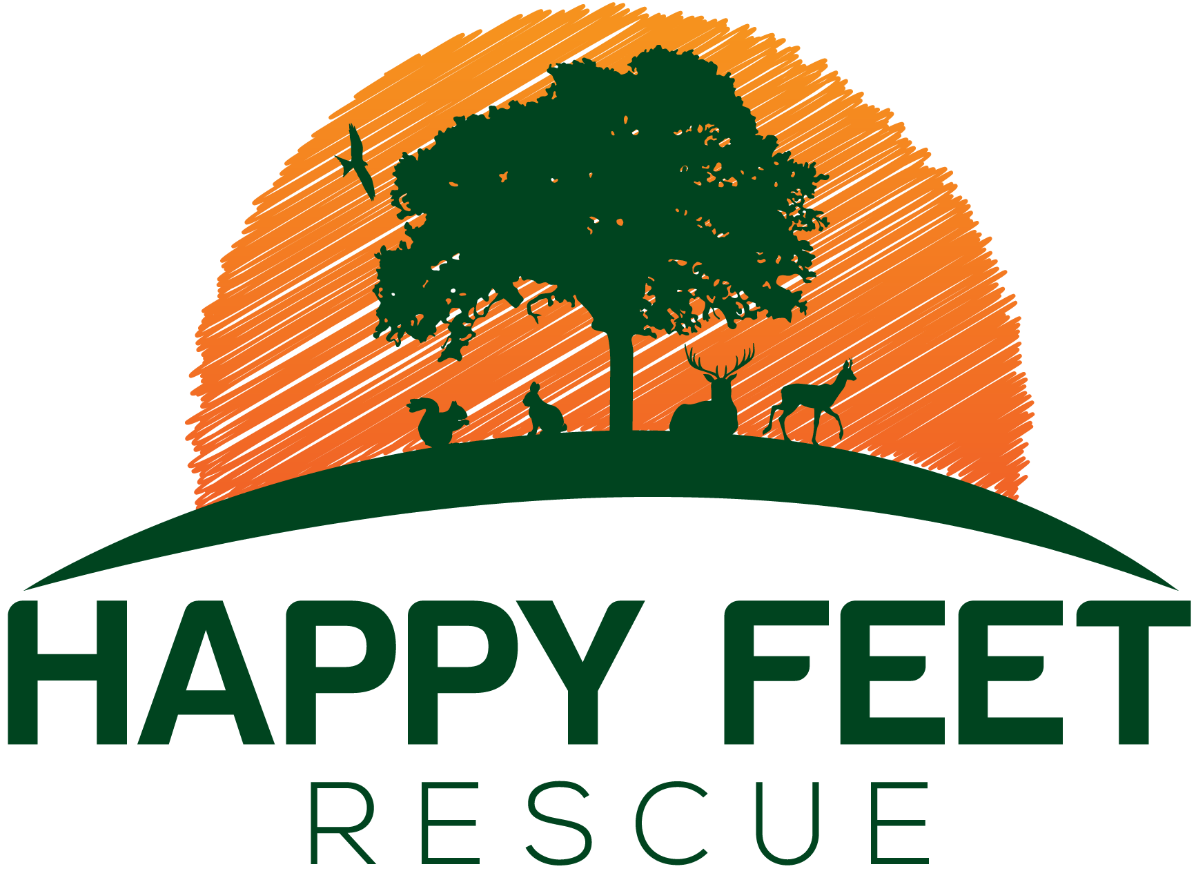 Happy Feet Rescue - Wildlife Rehabilitation | Happy Feet Rescue ...