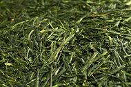 Premium Sencha from The Spice Merchant