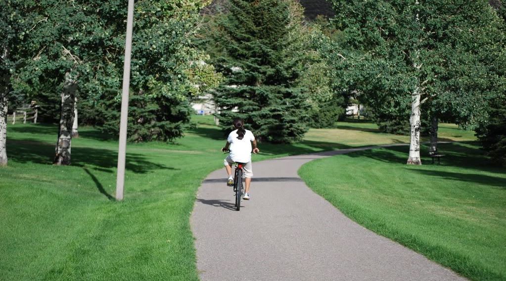 Full-Day Self-Guided Bike Tour of Darien