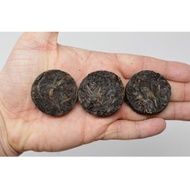 Nan Jiang Xiang (南姜香) Dancong Coins from Liquid Proust Teas