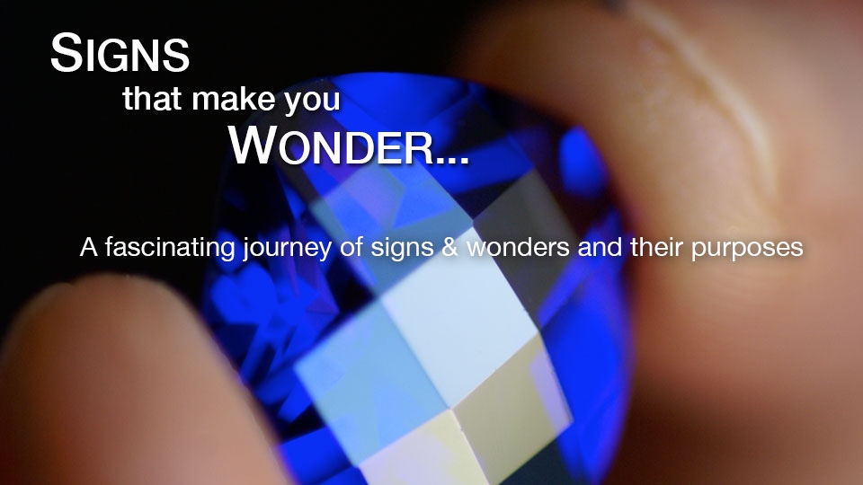 Product image for Signs that Make You Wonder - Collection