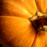 Pumpkin Patch Rooibos from Adagio Custom Blends