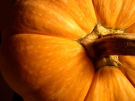 Pumpkin Patch Rooibos from Adagio Custom Blends