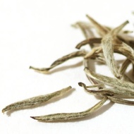 Silver Needle White Tea (Fuding Bai Hao Yin Zhen) from Jing Tea