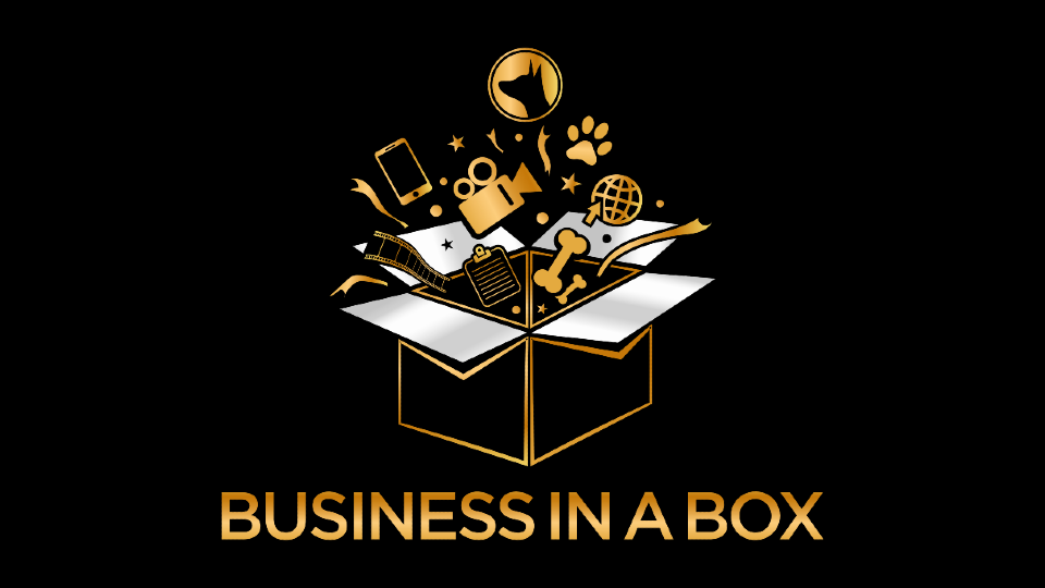 Business In A Box Vs