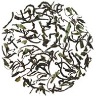 First Flush Darjeeling from Gong Fu Tea Shop