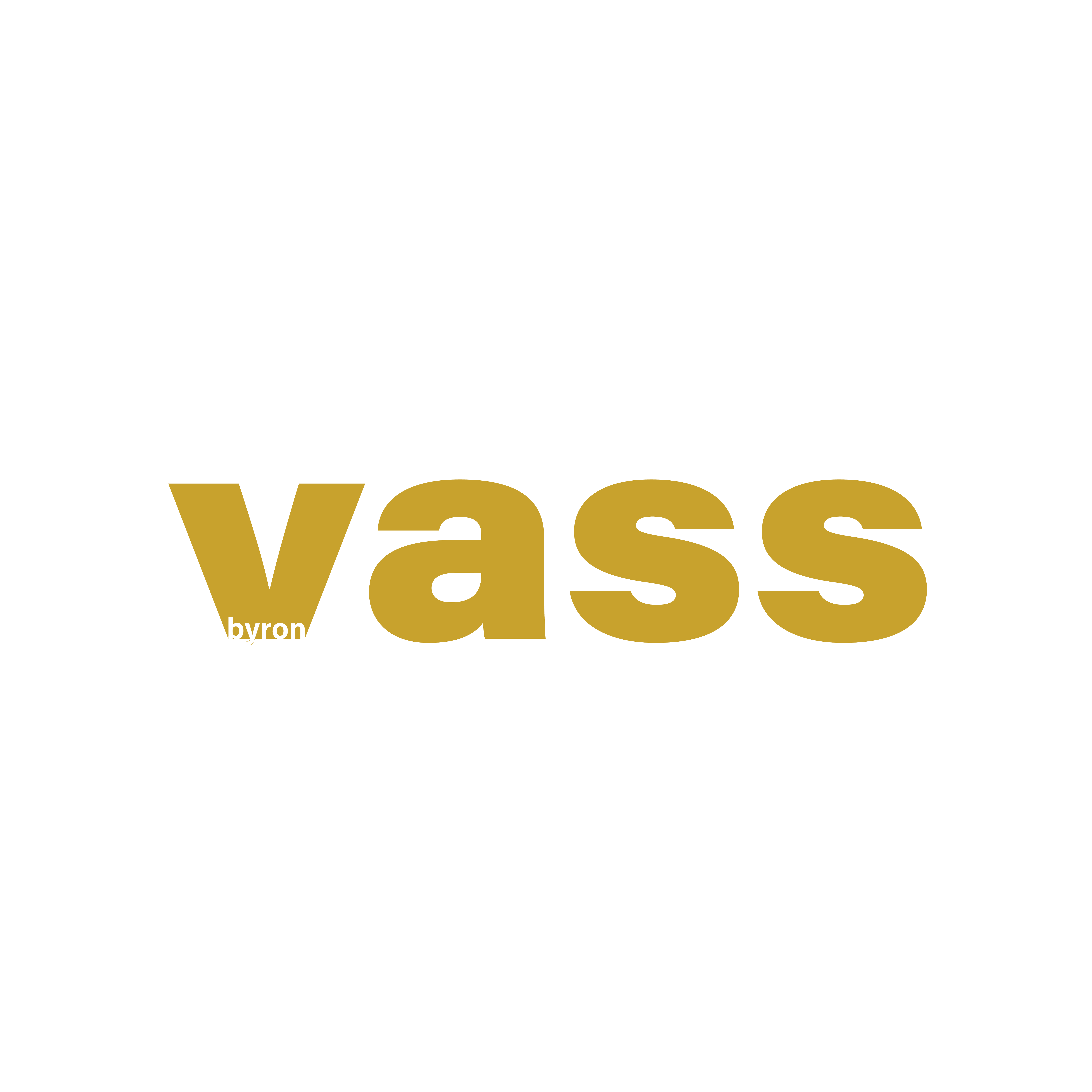 Byron Vass logo