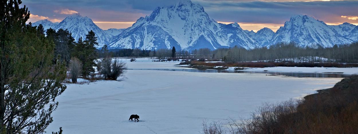 Winter & Spring Wildlife Sunset Safari