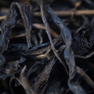 1995 Kitchen Witch Gu Yu Cha from West China Tea Company