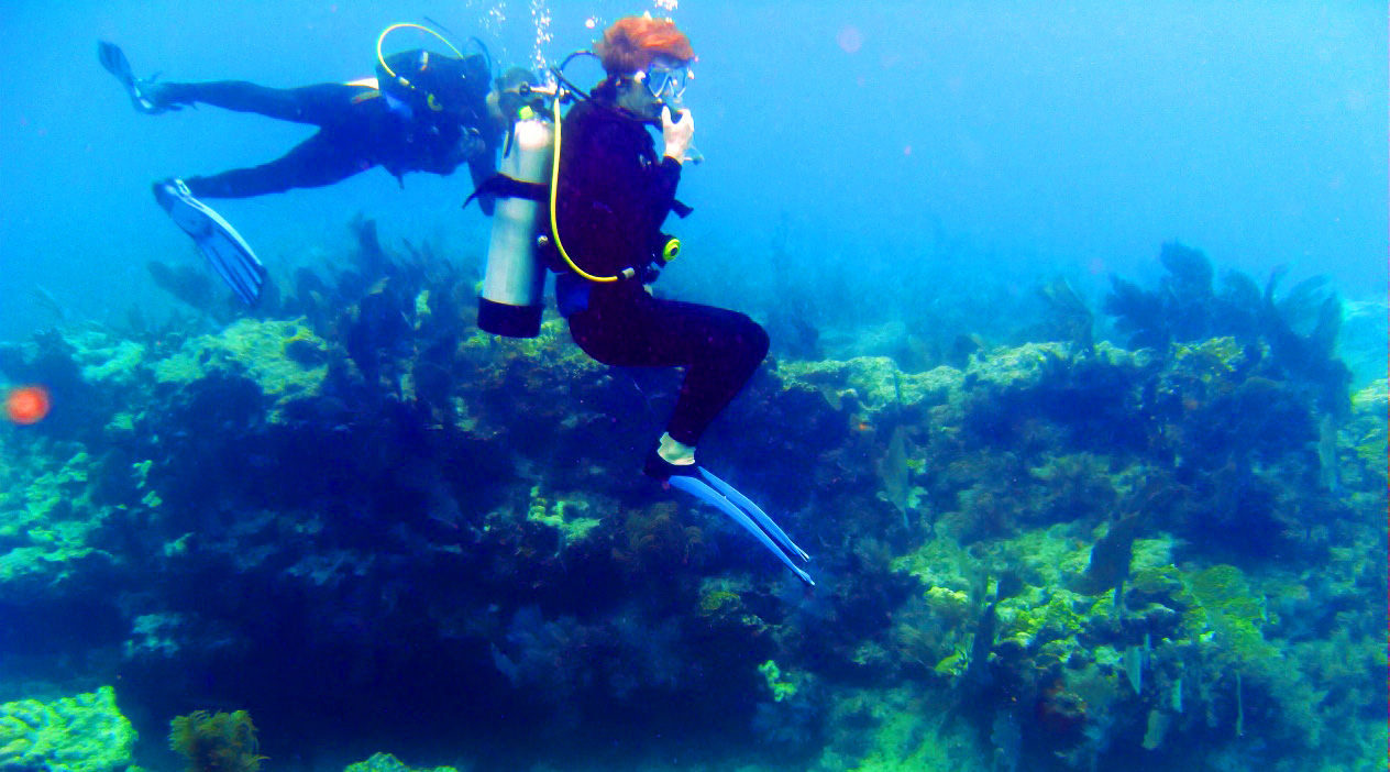 Scuba Diving Wreck Trip in Boynton Beach in Miami Book Tours