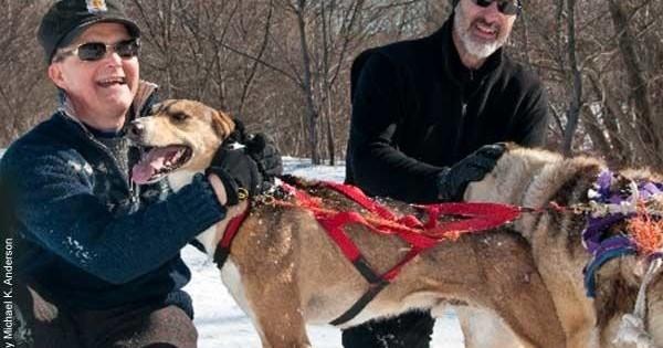 Winter Dog Sledding with Positive Energy Outdoors - Anchorage