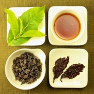 Organic Red Jade GABA Oolong Tea, Lot # 204 from Taiwan Tea Crafts
