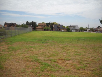 Playfield