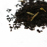 White Tip Smokey Earl Grey from Sanctuary T