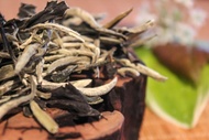 Bud Set Bai Mu Dan White Tea from Verdant Tea