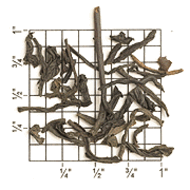 Premium Formosa Lapsang Souchong (TT70) from Upton Tea Imports