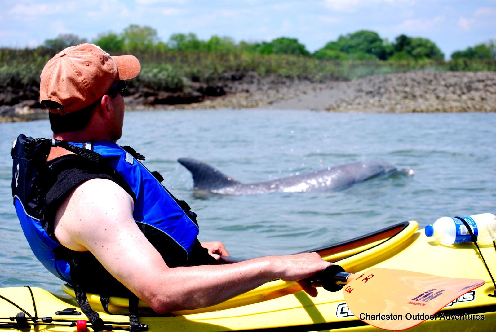 Marsh Kayaking Tour - 3 Hours   