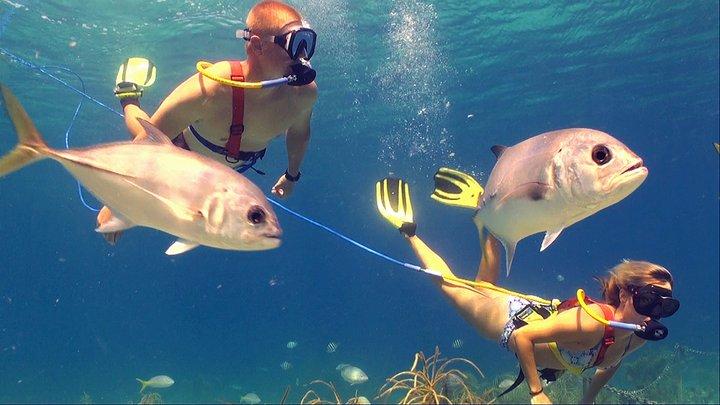Snuba Adventure at Coki Point, St. Thomas - Charlotte Amalie