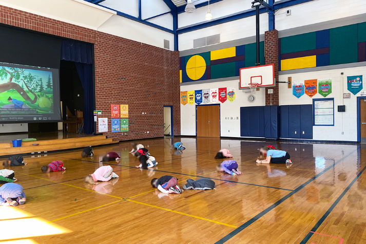 Gymnasium