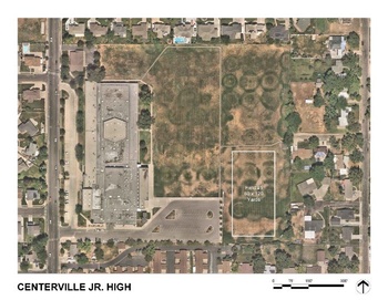 Field 1