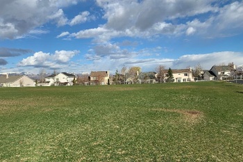 Fields