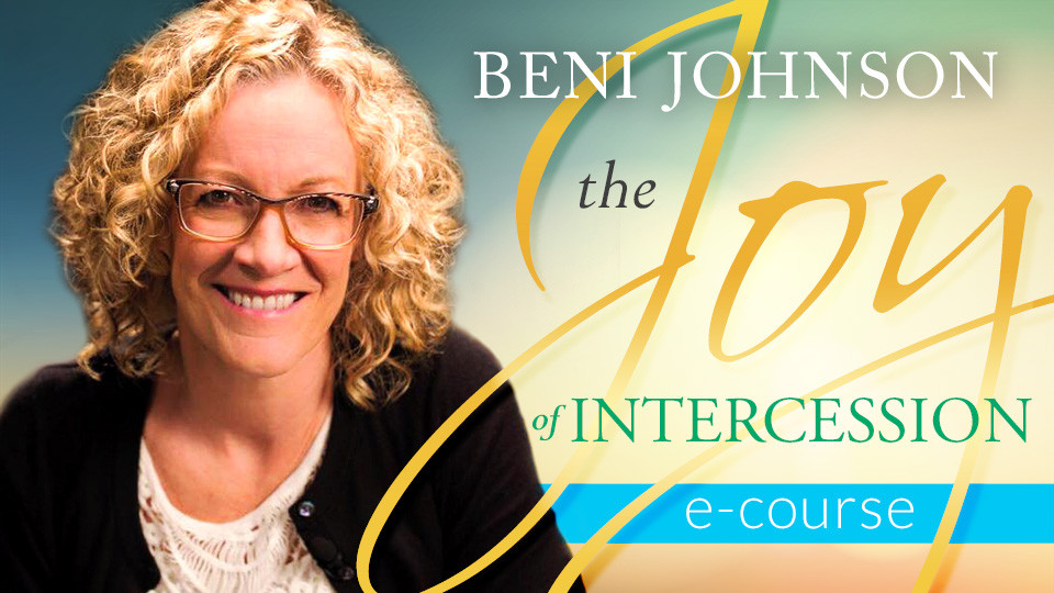 Product image for The Joy of Intercession