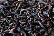 Darjeeling Black from Nineteen-02