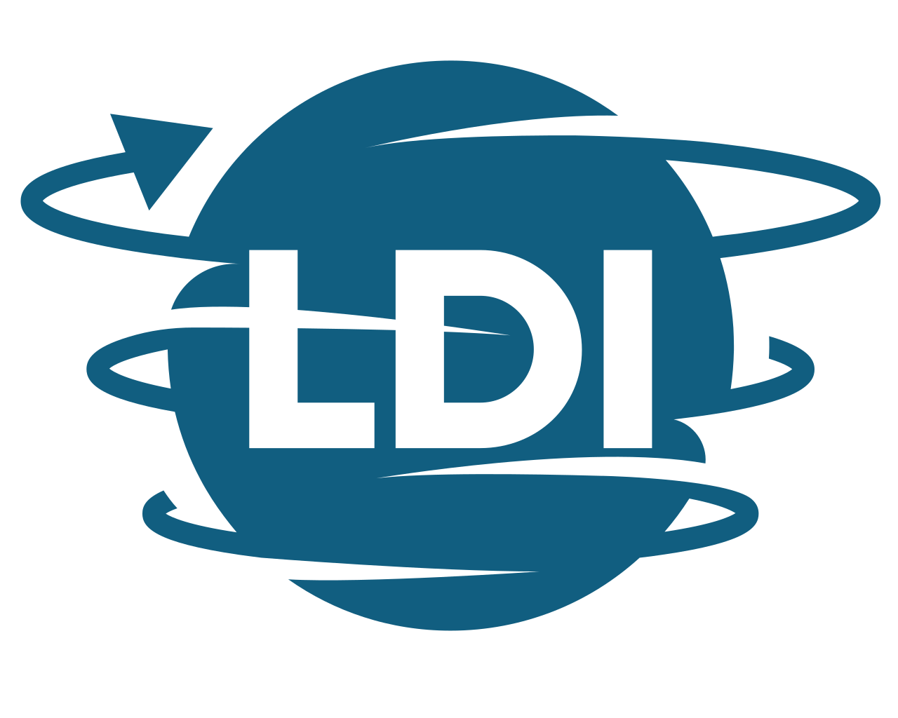 Life Development International, Inc logo