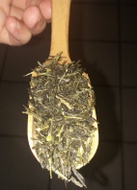 Sweet Japanese Sencha from Liquid Proust Teas