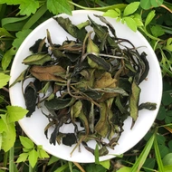Snow Mist Farm White from Mountain Stream Teas