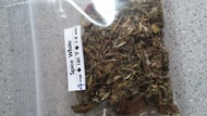 Spice White from Indigo Tea Company