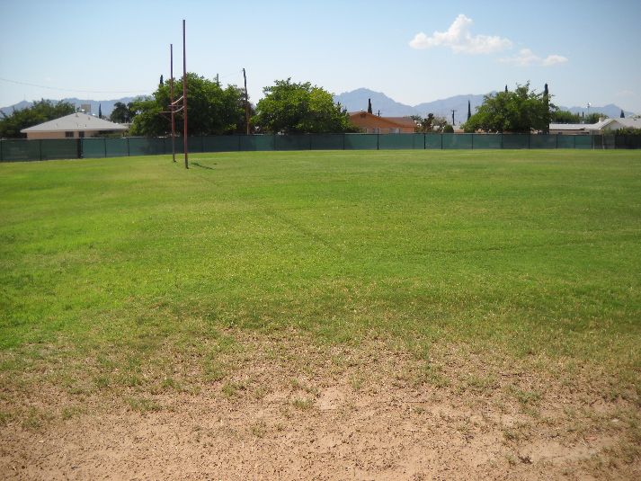 Playfield