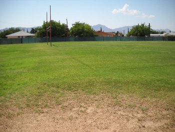 Playfield