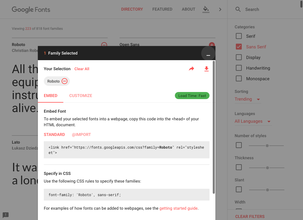 Google Fonts open cart panel