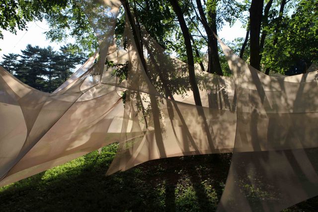image: detail of installation