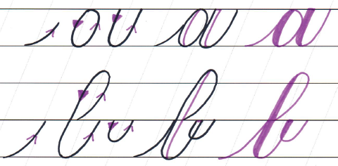Collection of basic strokes showing where the thicker downstrokes are