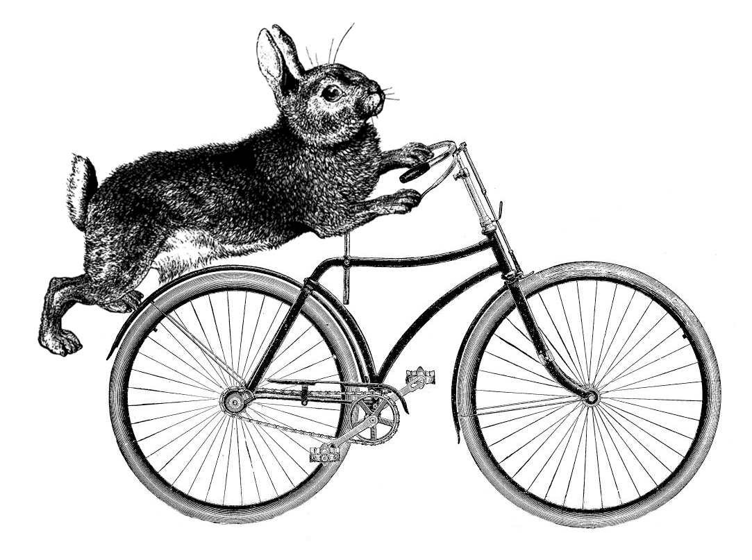 The Bicycling Bunny Little Free Library #14279 logo