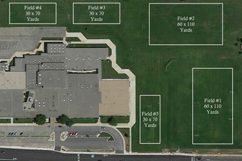 Field 1