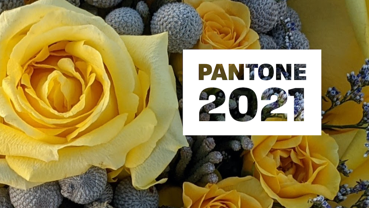 Flower Fridays: PANTONE 2021 | Flower Duet