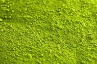 Matcha (Organic) from DAVIDsTEA