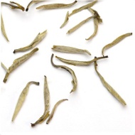 Jasmine Silver Needle White Tea (Mo Li Yin Zhen) from Teavivre