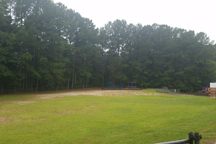 Field