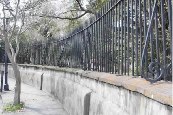 Charleston Old Walled City Walking Tour photo 3