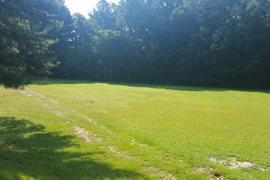 Field