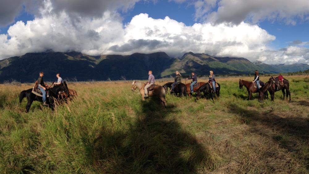 Horseback Adventure at Eco Action Tours in Fajardo, Puerto Rico - San Juan