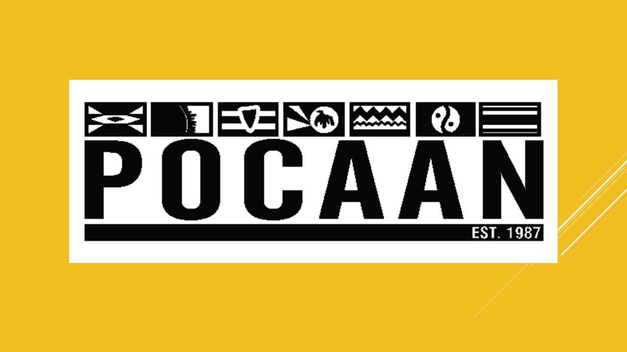 People of Color Against AIDS Network logo