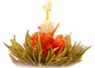 Fairy Lily from Primula Tea