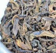 2-Year Barrel Stored 2005 Yiwu Huangpain from Yang Qing Hao Raw Puerh Maocha from Liquid Proust Teas